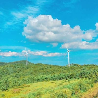 【海报】绿色低碳美丽中国
